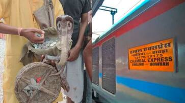 snake charmers releasing the snakes into the coach after passanger did not pay money to them akb snake charmers releasing the snakes into the coach after passanger did not pay money to them akb