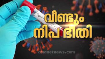 nipah virus first deceased in Kozhikode was also diagnosed with nipah nbu nipah virus first deceased in Kozhikode was also diagnosed with nipah nbu