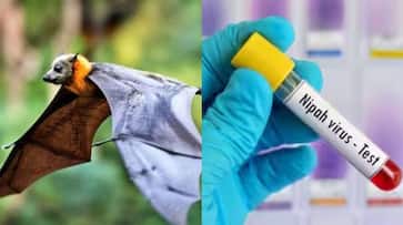 Nifa virus in Kerala.. 7 villages turned into containment zones.. Officials closed schools..ISR Nifa virus in Kerala.. 7 villages turned into containment zones.. Officials closed schools..ISR