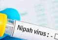 what is nipah virus and its symptoms kerela on high alert kxa 