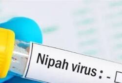 what is nipah virus and its symptoms kerela on high alert kxa 