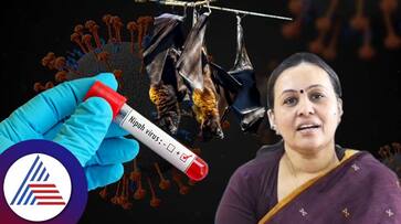 Kerala Health Minister Veena George says Nipah Virus A Bangladesh Variant Which Has High Mortality Rate san Kerala Health Minister Veena George says Nipah Virus A Bangladesh Variant Which Has High Mortality Rate san