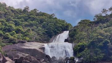 Forest department allows tourist vehicles to Paana Theertham falls sgb Forest department allows tourist vehicles to Paana Theertham falls sgb