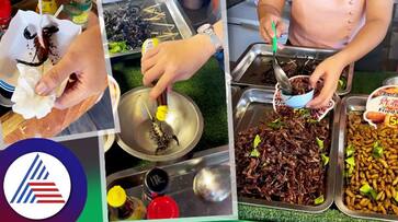 Thailand Street Food Viral Video Woman Frying Scorpion And Cockroach In Boiling Oil roo Thailand Street Food Viral Video Woman Frying Scorpion And Cockroach In Boiling Oil roo