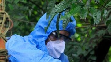 Nipah virus scare: Two health workers under observation; samples sent to Pune rkn Nipah virus scare: Two health workers under observation; samples sent to Pune rkn
