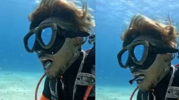 Scuba Diver got dental check up by a fish video went viral rlp Scuba Diver got dental check up by a fish video went viral rlp