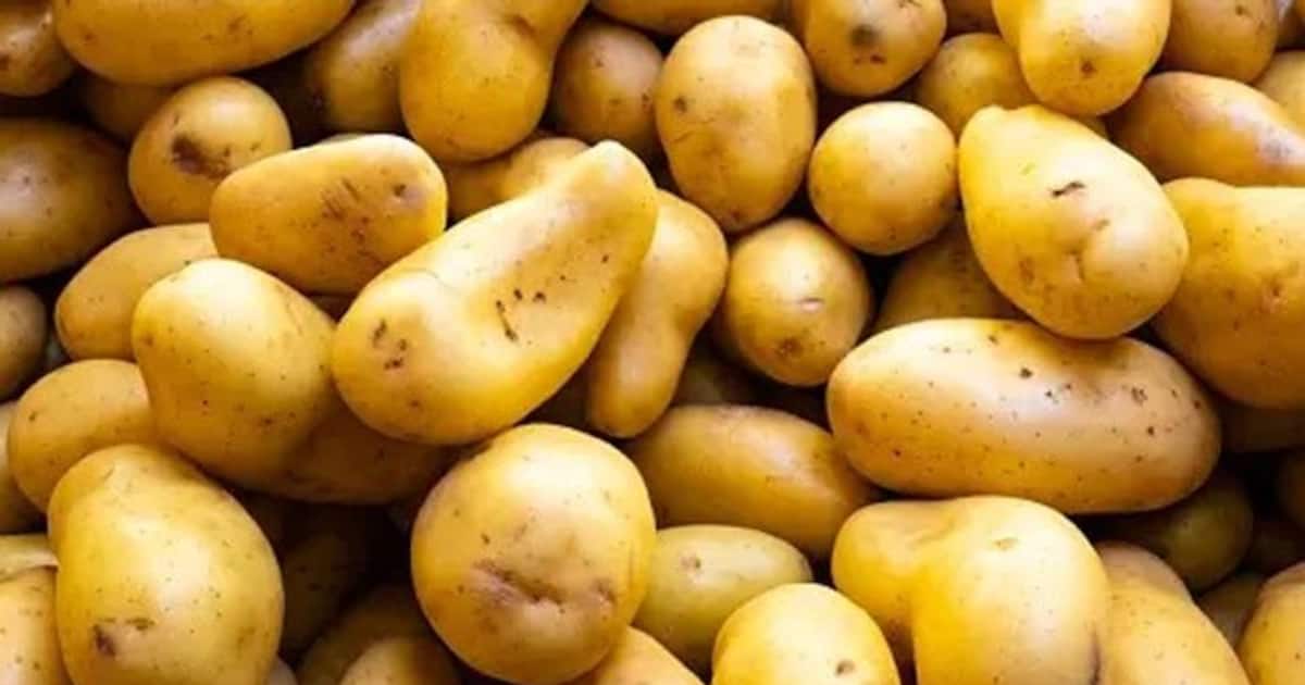 5 dangerous side effects of excessive Potato consumption on Health