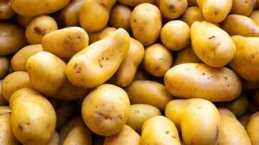 5 dangerous side effects of excessive Potato consumption on Health vma eai 5 dangerous side effects of excessive Potato consumption on Health vma eai