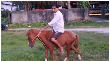 After being fined by the police for not wearing a helmet youth sold his scooter and bought a horse bkg After being fined by the police for not wearing a helmet youth sold his scooter and bought a horse bkg