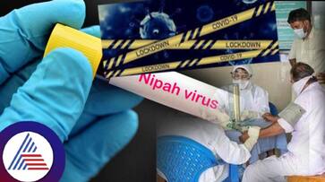 What is Nipah virus? Know its symptoms, treatment and more ram What is Nipah virus? Know its symptoms, treatment and more ram