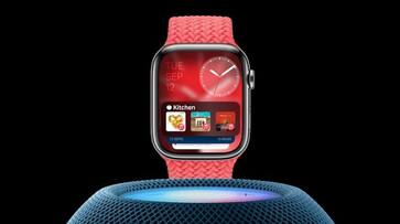 Apple Watch Series 9 Watch Ultra 2 facing screen flickering