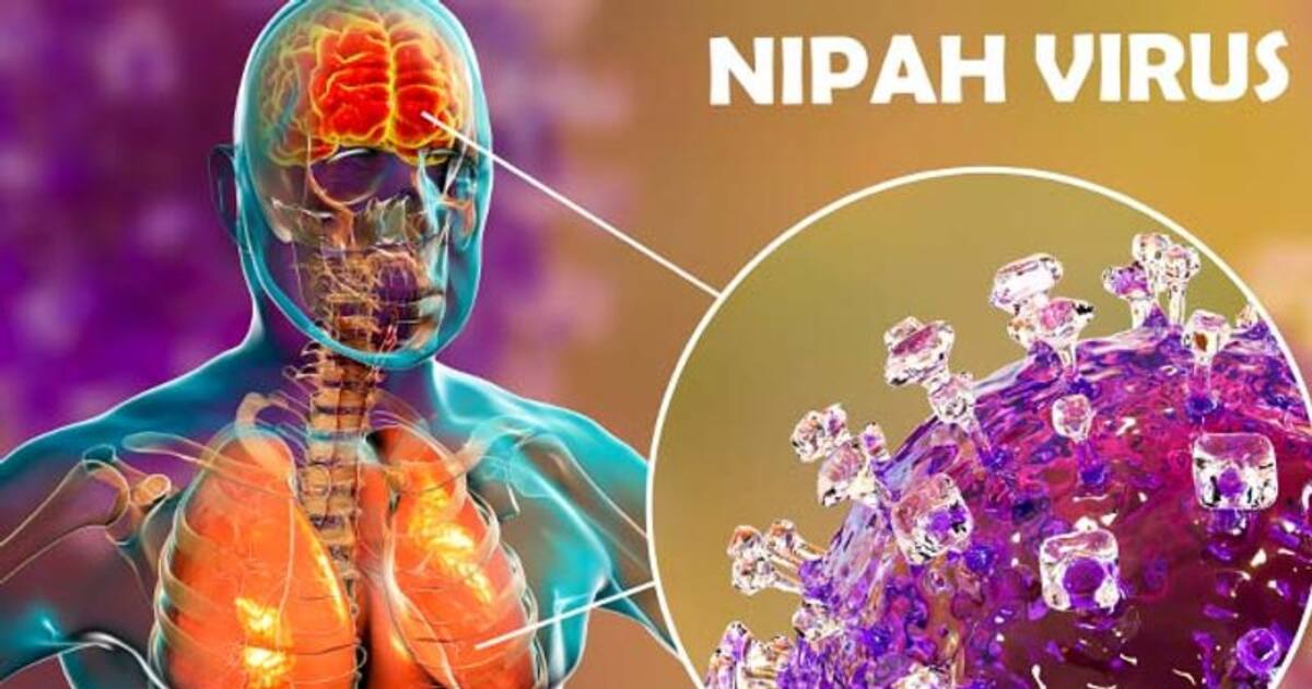 தொற்று விகிதம் குறைவு தான்.. ஆனாலும் நிபா வைரஸ் ஏன் ஆபத்தானது? எப்படி தடுப்பது? முழு விவரம் இதோ..