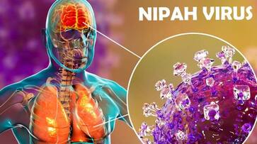 Nipah virus Outbreak : Infection rate is low.. But why is Nipah virus dangerous? How to prevent? Here is the full details.. Nipah virus Outbreak : Infection rate is low.. But why is Nipah virus dangerous? How to prevent? Here is the full details..