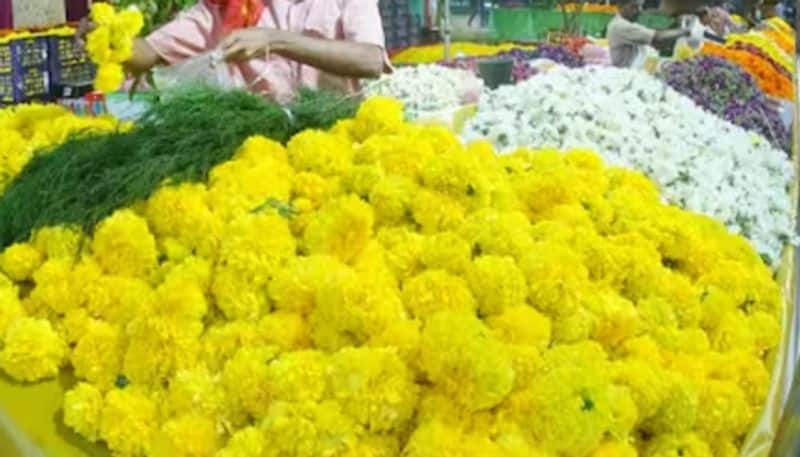 On the occasion of Ayudha Puja jasmine flower prices have increased manifold KAK