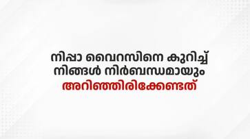 Nipah latest news updates beware of fake news all details about virus btb Nipah latest news updates beware of fake news all details about virus btb
