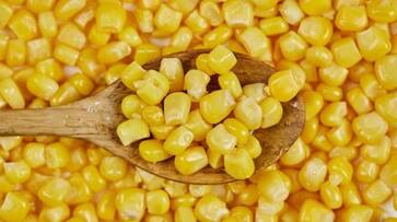 Health: 5 astonishing benefits of Sweet Corn on your Body vma eai Health: 5 astonishing benefits of Sweet Corn on your Body vma eai
