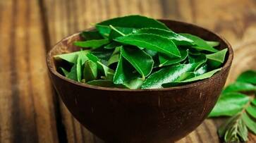 Skin Bounty: 5 surprising benefits of Curry Leaves in increasing softness vma eai Skin Bounty: 5 surprising benefits of Curry Leaves in increasing softness vma eai