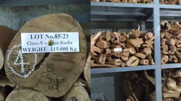 Marayoor sandal auction Rs 37 crore sandal sold SSM Marayoor sandal auction Rs 37 crore sandal sold SSM
