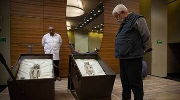 Alien Corpses Shown In Mexican Assembly Were Alive Says Doctors after comprehensive examinations ksm Alien Corpses Shown In Mexican Assembly Were Alive Says Doctors after comprehensive examinations ksm