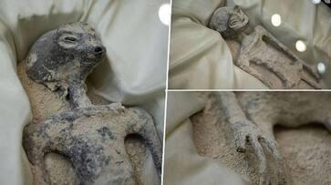 Aliens corpses unveiled in Mexico assembly is real found that one was alive Doctors reveals lab test report ckm Aliens corpses unveiled in Mexico assembly is real found that one was alive Doctors reveals lab test report ckm