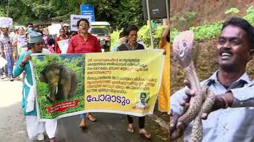 Arikomban should bring back Troll and support at the dharna in Idukki ppp Arikomban should bring back Troll and support at the dharna in Idukki ppp