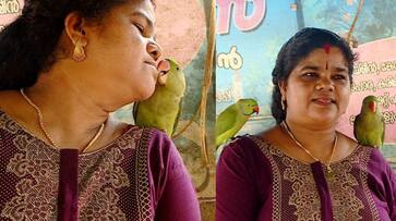 Rare story of two ppp parrots being friends of a young woman kollam Rare story of two ppp parrots being friends of a young woman kollam