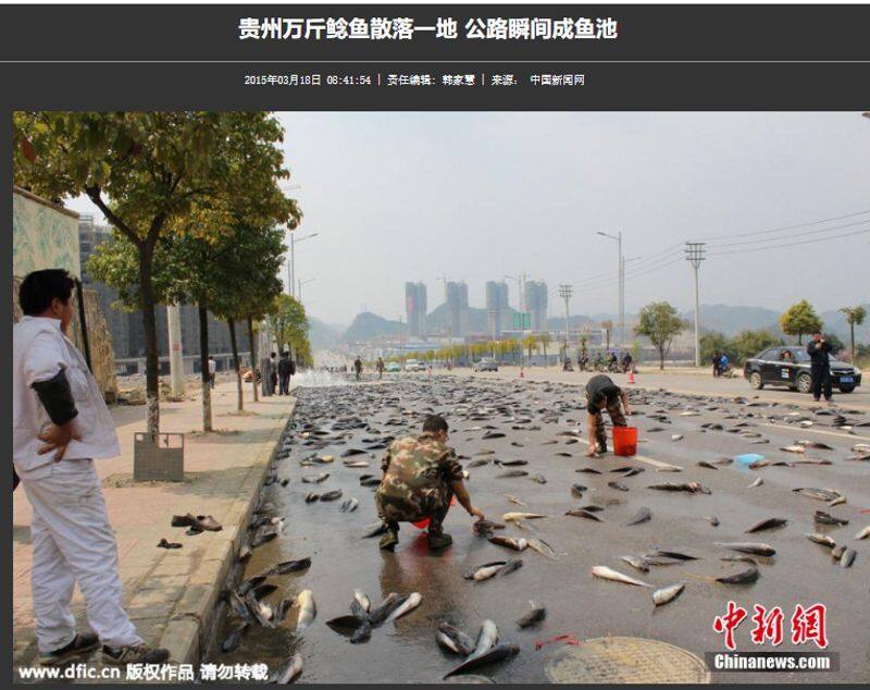 Photos show the fish rain in Lajamanu Australia but images from China Fact Check jje