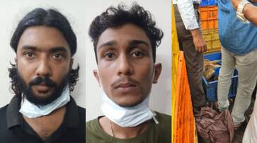 two malappuram native youth arrested with 29 kg of ganja in kozhikode vkv two malappuram native youth arrested with 29 kg of ganja in kozhikode vkv
