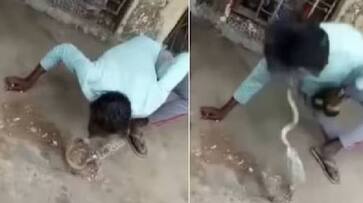 man trying to kiss snake rlp man trying to kiss snake rlp
