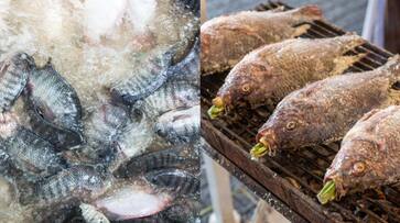 40 year old mother loses all four limbs after she caught bacterial infection from eating undercooked tilapia etj 40 year old mother loses all four limbs after she caught bacterial infection from eating undercooked tilapia etj