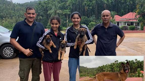 Karnataka: Belgian dog breed from Chikkamagaluru to serve as spy in Indian Army check details vkp Karnataka: Belgian dog breed from Chikkamagaluru to serve as spy in Indian Army check details vkp