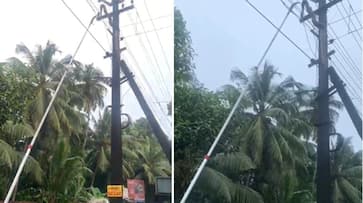 snake that climbed a post in Tanur Malappuram died of electric shock ppp snake that climbed a post in Tanur Malappuram died of electric shock ppp