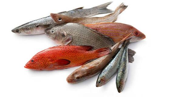 california woman loses all four limbs after eating undercooked contaminated fish in tamil mks california woman loses all four limbs after eating undercooked contaminated fish in tamil mks