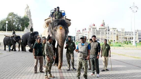 Dasara 2023 An elephant mahendra that carried 575 kg gvd Dasara 2023 An elephant mahendra that carried 575 kg gvd