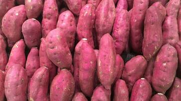 benefits of having sweet potato in your diet azn benefits of having sweet potato in your diet azn