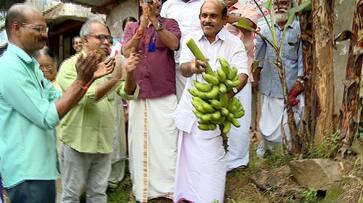 K rail protest committee harvest banana and auctioned for huge amount money given for thankamma who lost home in chengannur etj K rail protest committee harvest banana and auctioned for huge amount money given for thankamma who lost home in chengannur etj