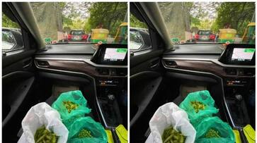 housewife prepares vegetables without wasting time when stuck in a traffic block BKG housewife prepares vegetables without wasting time when stuck in a traffic block BKG