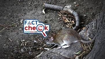 pib fact check refuse the claim northern railways spend rs 41000 to catch one rat in lucknow division jje pib fact check refuse the claim northern railways spend rs 41000 to catch one rat in lucknow division jje