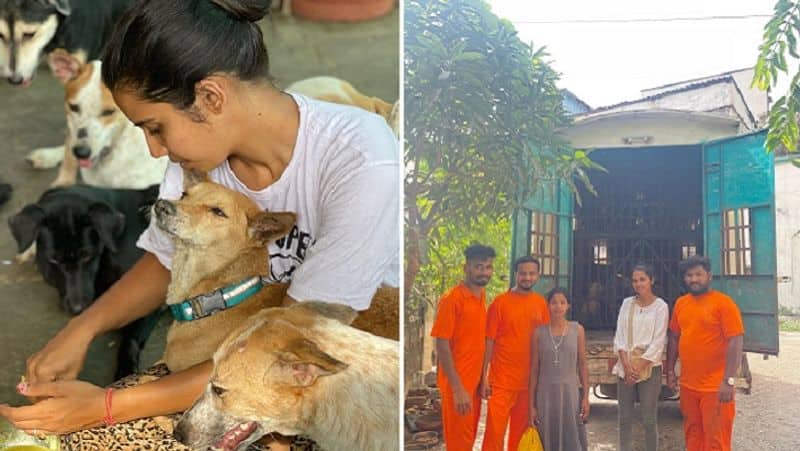 a responsible animal lover harsimran tireless commitment to serve street dogs iwh