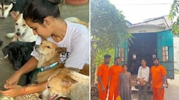 inspirational story of Simran Walia who is doing work to take care of animals zrua