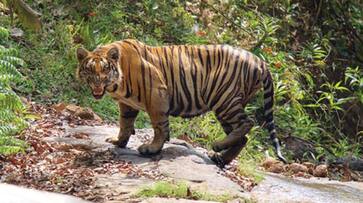 one week free entry at Kerala wildlife Sanctuaries and National Parks joy one week free entry at Kerala wildlife Sanctuaries and National Parks joy