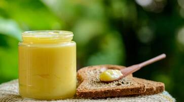 Boost your Gut Health With these 5 Foods azn Boost your Gut Health With these 5 Foods azn