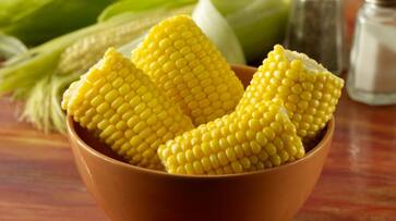 health benefits of eating corn azn health benefits of eating corn azn