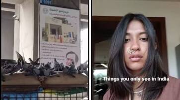 viral video pigeon attack on sacks of grains things you can see only in india rlp viral video pigeon attack on sacks of grains things you can see only in india rlp