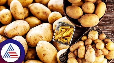 What Happens To The Body When You Give Up Potatoes For A Month roo What Happens To The Body When You Give Up Potatoes For A Month roo