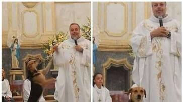 Brazilian priest opens church doors to adopt stray dogs bkg Brazilian priest opens church doors to adopt stray dogs bkg