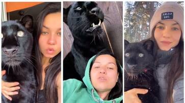 young woman raised Black Panther thinking it was a cat this is a rare friendship story bkg young woman raised Black Panther thinking it was a cat this is a rare friendship story bkg