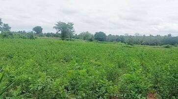 Bidadi Township Not Yet Complete in Ramanagara grg Bidadi Township Not Yet Complete in Ramanagara grg