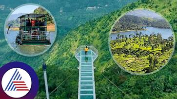 Travel tips: Munnar to Thekkady, Top 5 Adventurous paradise in Kerala Vin Travel tips: Munnar to Thekkady, Top 5 Adventurous paradise in Kerala Vin