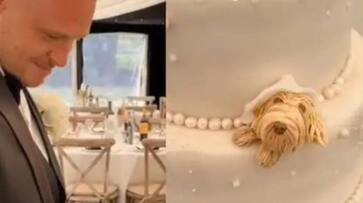 dog replica on wedding cake grooms happiness is viral now rlp dog replica on wedding cake grooms happiness is viral now rlp